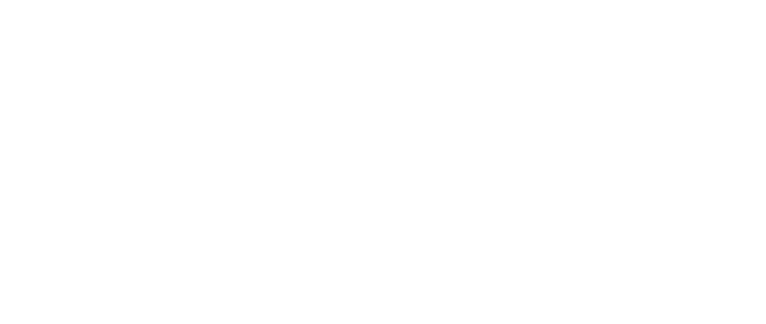 FID BASSIRA Consulting